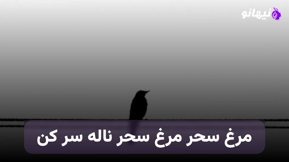 دانلود آهنگ مرغ سحر مرغ سحر ناله سر کن هوش مصنوعی